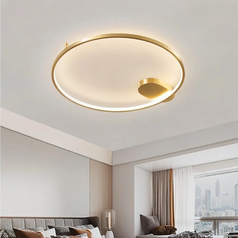 Monel Ceiling Light