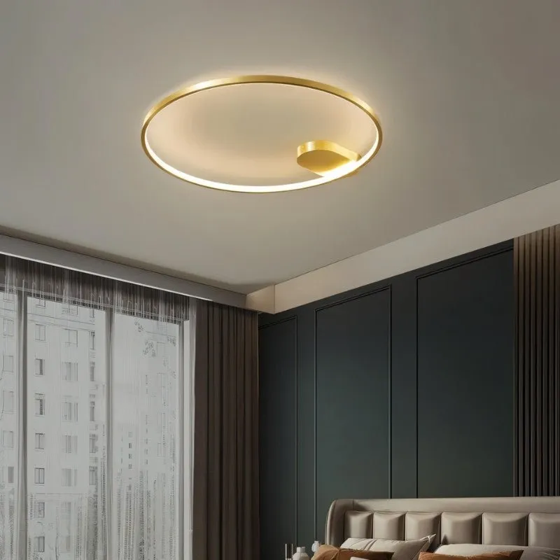 Monel Ceiling Light