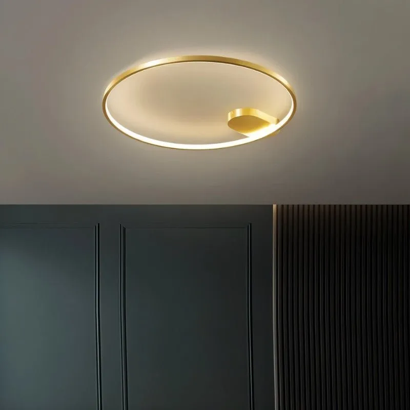 Monel Ceiling Light